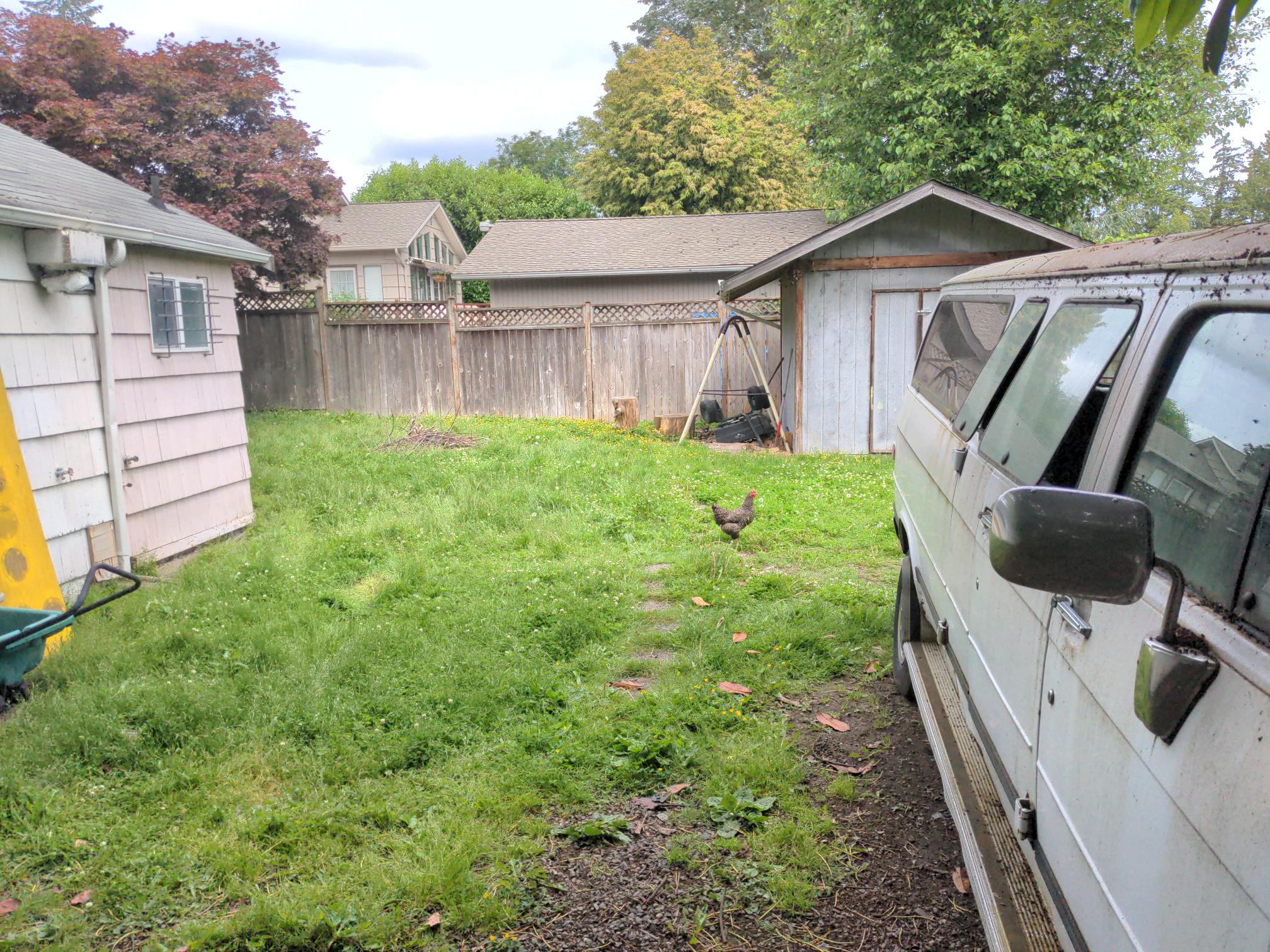 The backyard, including the blue shed (right) where Frank Bagley stored the stolen Burien pride flags.